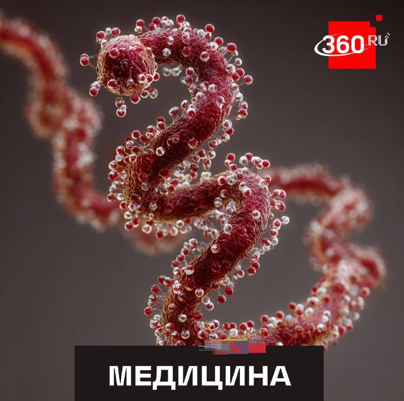 Инфекционист объяснила, почему лихорадка Эбола не станет пандемией