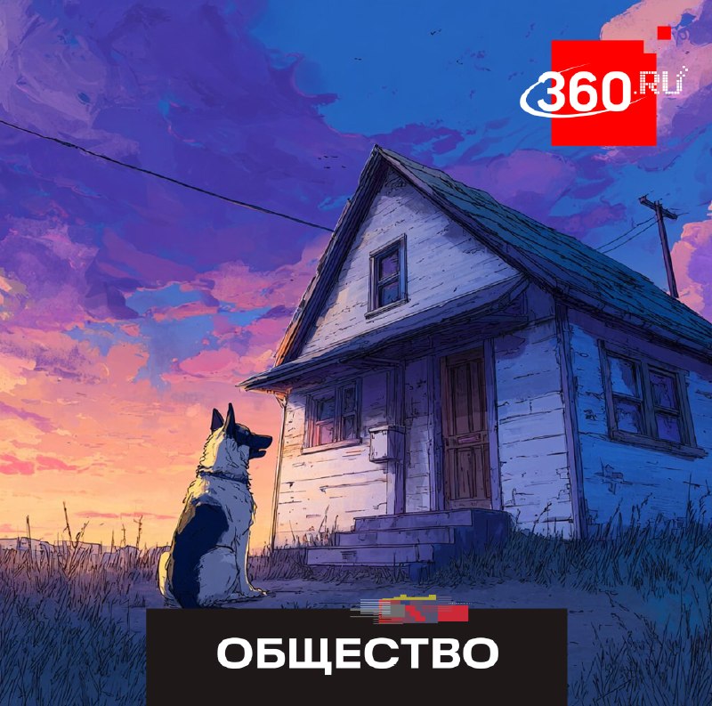 В Подмосковье запустили сервис для поиска доноров крови для домашних животных