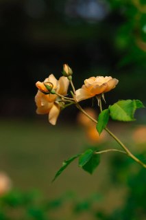 Иллюстрация 7