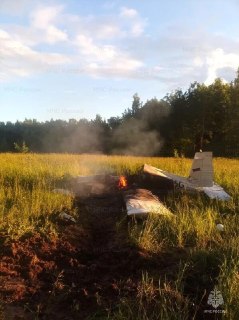 В Подмосковье при крушении самолета погибли два человека