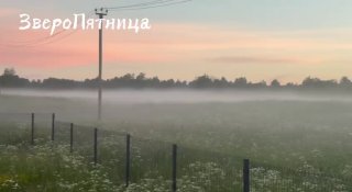 Загадка о звуках на петербургских болотах