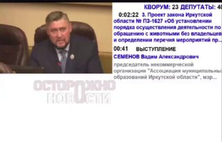В Иркутске узаконили усыпление бездомных собак при определенных условиях