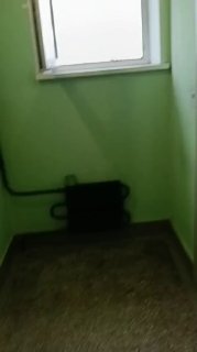 Иллюстрация 6