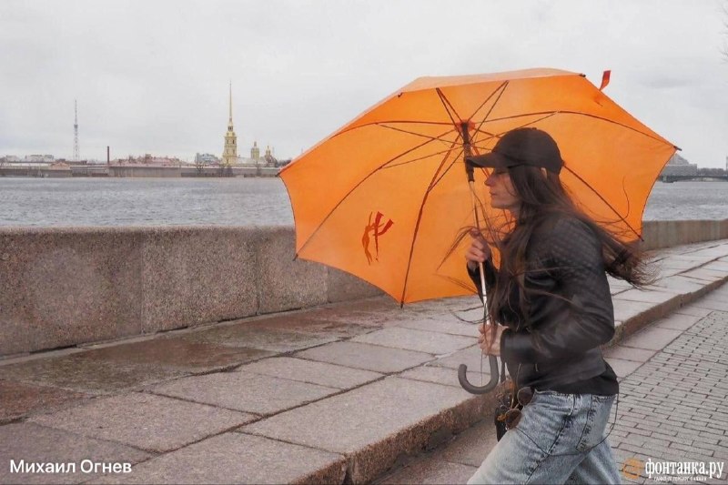В Ленобласти выпала почти вся июньская норма осадков, в Петербурге ожидаются дожди