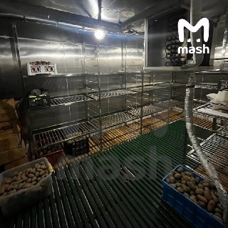Иллюстрация 4