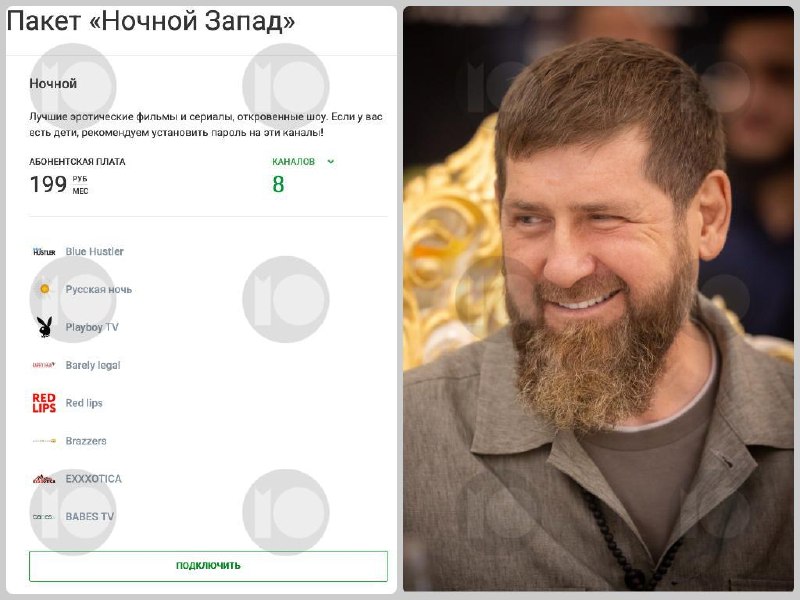 Власти Чечни потратили почти 3 млн рублей на подписку на эротические каналы через госзакупки