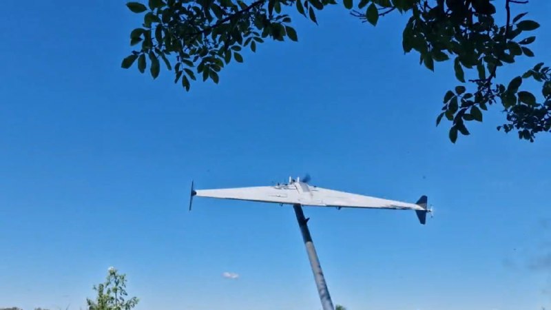 Иллюстрация 6