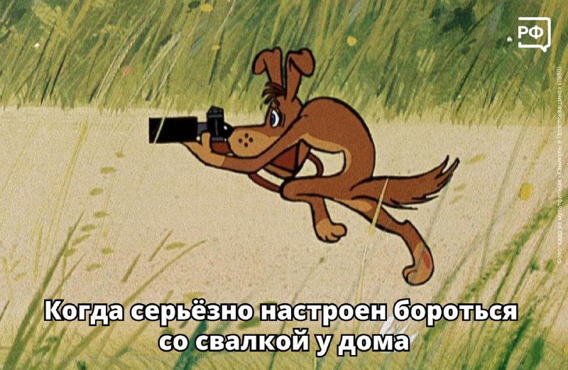 Как бороться со стихийными свалками: инструкция по подаче жалоб