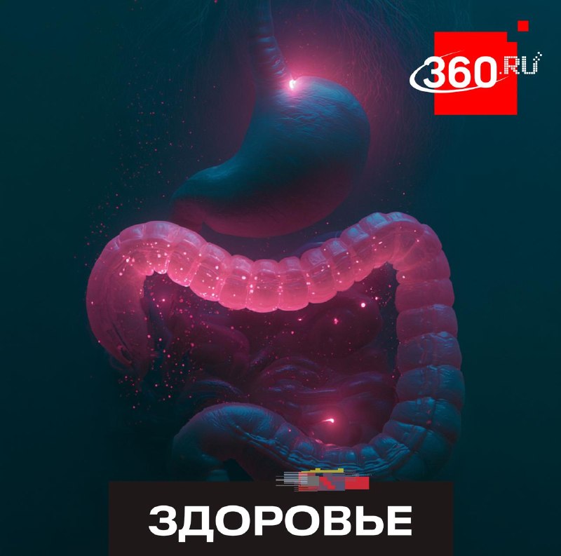 Риск рака желудка повышают сразу несколько привычек