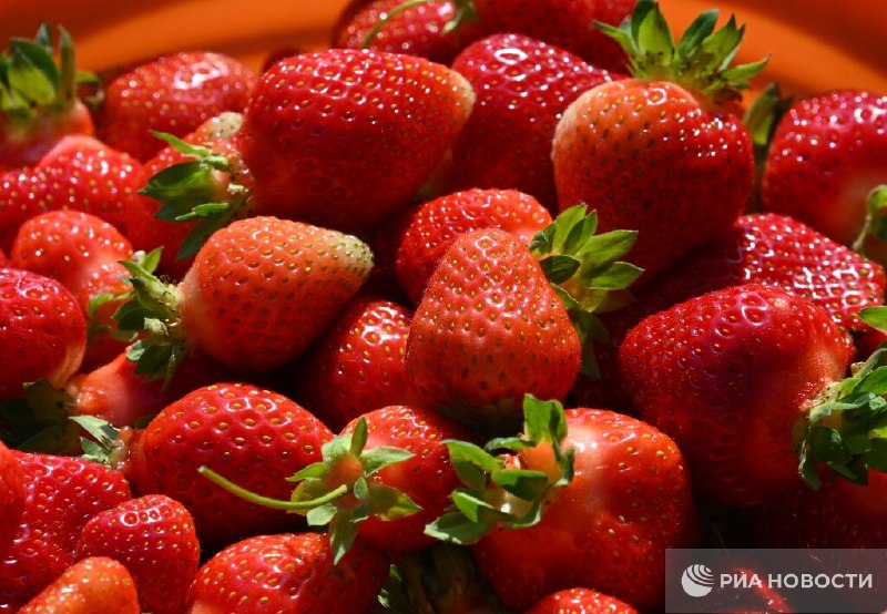 Как выбрать самую сладкую клубнику: советы агронома