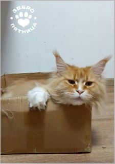 Иллюстрация 6