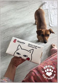 Иллюстрация 9