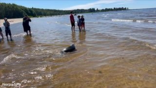 Иллюстрация 1