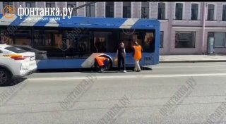 Операция по спасению котенка-подкидыша остановила Невский проспект субботним утром