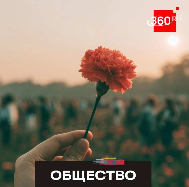 В России проходит акция «Красная гвоздика» в помощь ветеранам