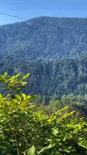 Инцидент с парапланом в хуторе