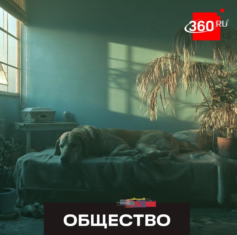 В России ввели запрет на самостоятельное захоронение домашних животных