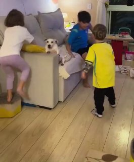 Пёс впервые увидел детей и теперь не знает, как жить дальше