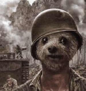 Иллюстрация 2