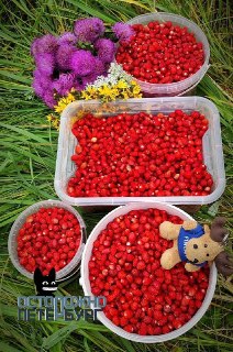 Иллюстрация 2