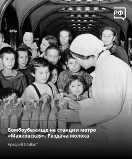 Иллюстрация 6