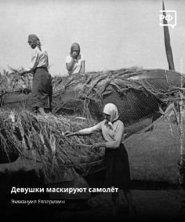 Иллюстрация 7