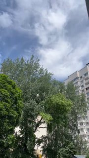 Иллюстрация 1