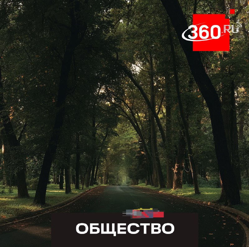В Подмосковье расширяют сеть пешеходных маршрутов с твердым покрытием