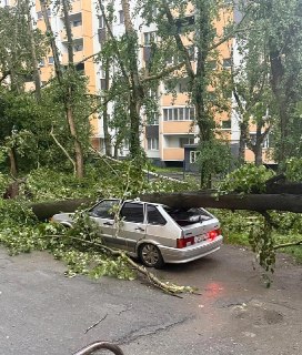 Иллюстрация 2