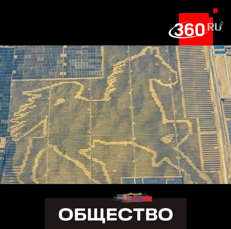 В Китае создали гигантское изображение лошади из солнечных панелей, видимое из космоса