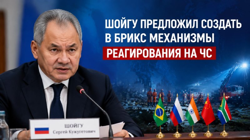 Шойгу предложил создать в БРИКС механизмы реагирования на ЧС
