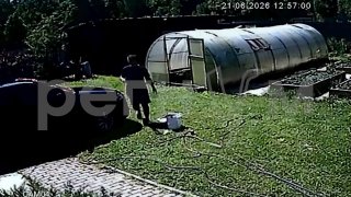 Иллюстрация 2