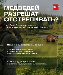 Иллюстрация 4