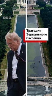 Зеркальный бассейн в Вашингтоне зарос водорослями через неделю после ремонта, инициированного Трампом