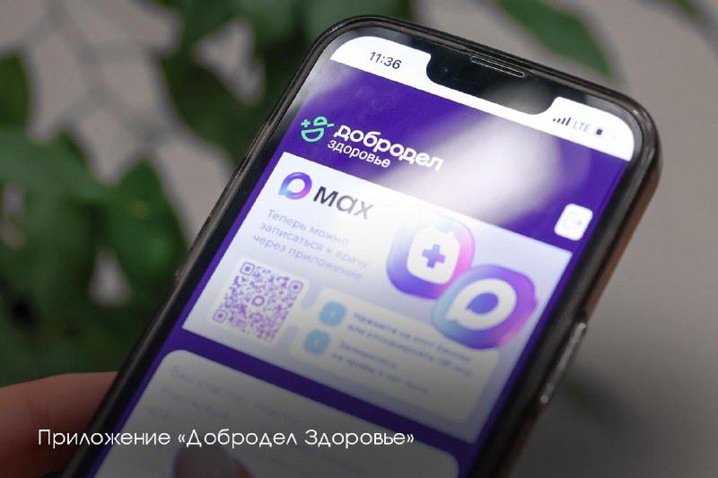 Иллюстрация 6