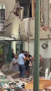 Мужчина спас собак из-под завалов в Каракасе после мощного землетрясения