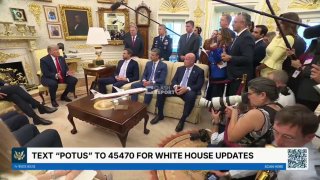 Трамп выразил разочарование в союзниках по НАТО
