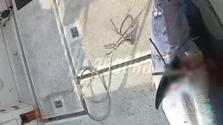 В Приморье участились встречи рыбаков и жителей с крупными акулами