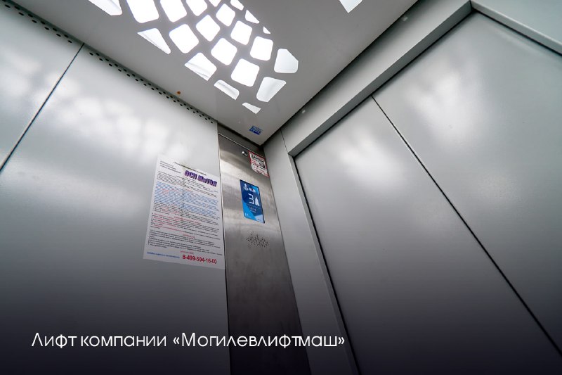 Иллюстрация 1