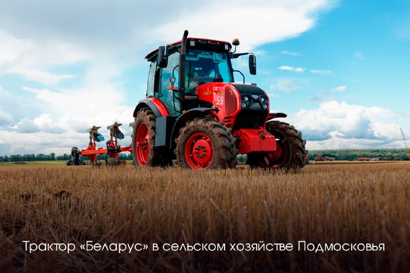 Иллюстрация 8
