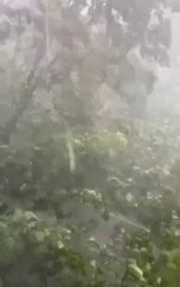 Мощный ливень обрушится на Москву уже завтра