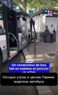 В Париже автобус врезался в дерево из-за потери сознания водителя на фоне жары