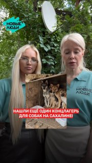 "Новые люди" требуют закрыть "концлагерь" для собак на Сахалине