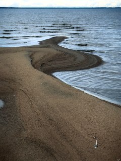 Иллюстрация 5