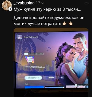Девушка высмеяла мужа за покупку GTA 6