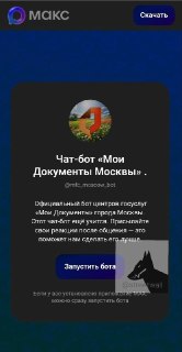Оформление загранпаспортов в Москве перевели на использование мессенджера Max