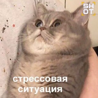 Стресс может изменить состав крови и повысить риск тромбоза