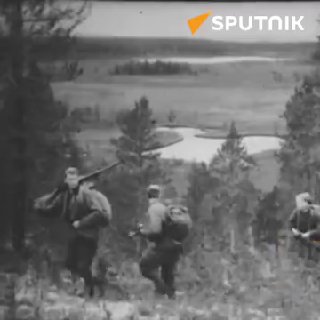 В России отмечают День партизан и подпольщиков