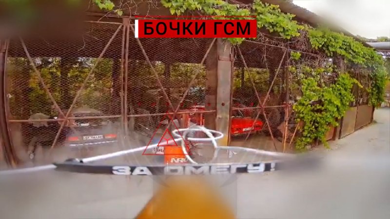 Иллюстрация 10