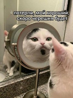 Иллюстрация 1